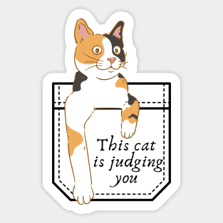 This cat is judging you Sticker